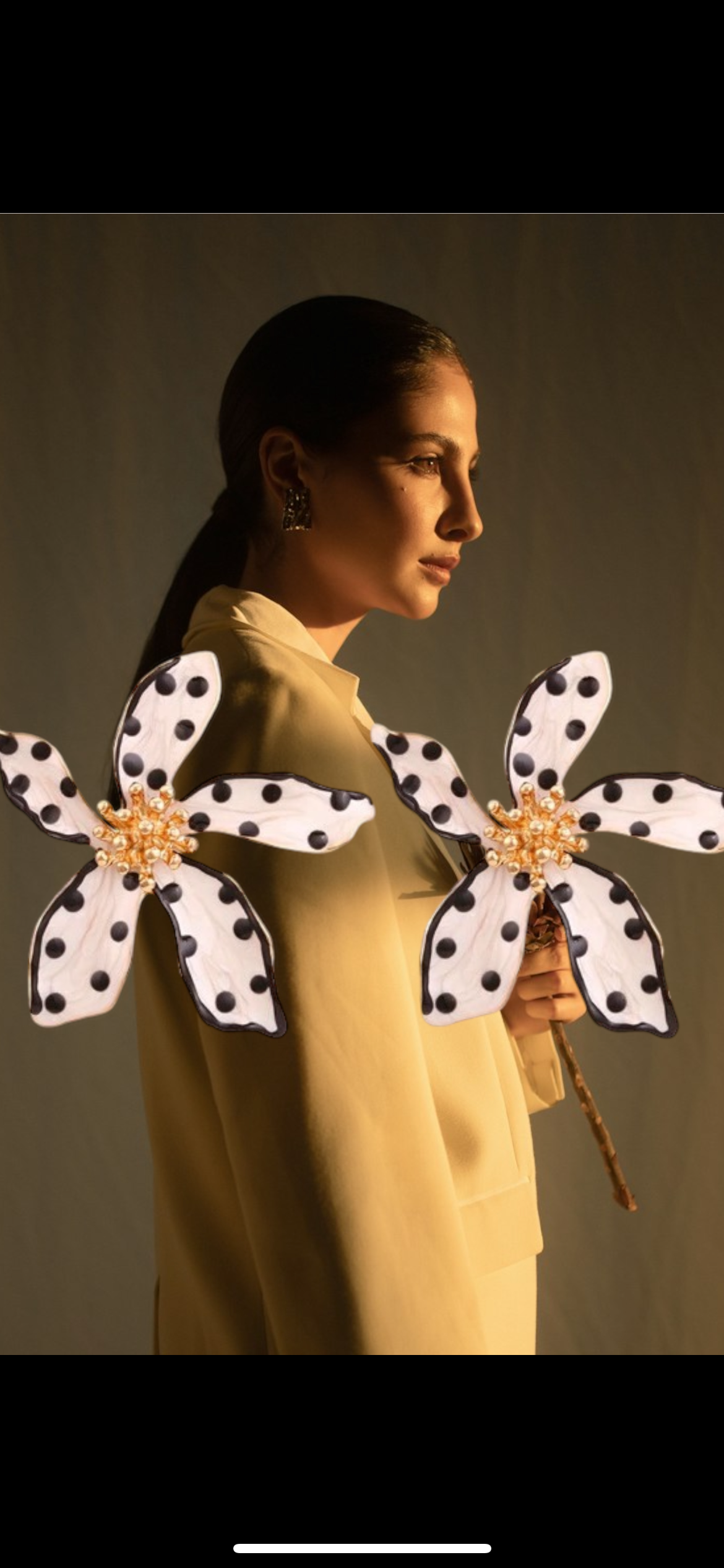 Aros Olimpia blanco y negro